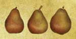 3 Pears